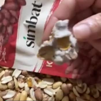 Simbat Kavrulmuş Yer Fıstığı
