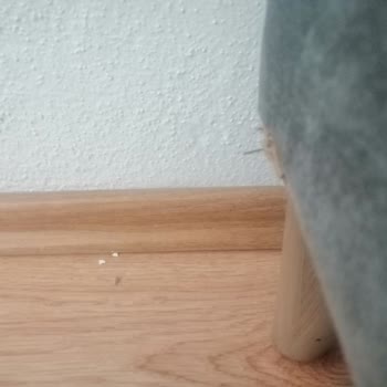 Evkur Adapazarı Şubesinden Ayıplı Çekyat Ve İade Reddi