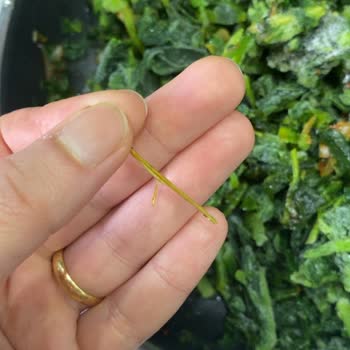 Dondurulmuş Ispanakta Tahta Parçası Keşfedildi, Gıda Güvenliği İhlali