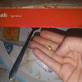 Tatlıbak Paket Baklavada Talaş Parçası Bulunması Sağlık Ve Hijyen Endişesi