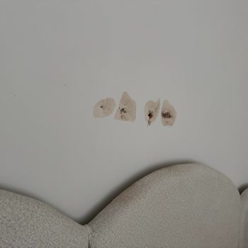 Montaj Sırasında Duvar Hasarı Ve Ödeme Gecikmesi Şikayeti