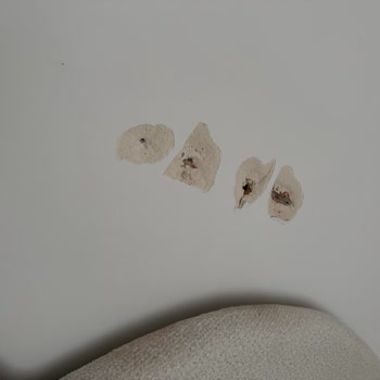 Montaj Sırasında Duvar Hasarı Ve Ödeme Gecikmesi Şikayeti