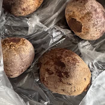 Organik Olmayan Ürün Ve Bozulmuş Pancar İçin İade Ve Açıklama Talebi