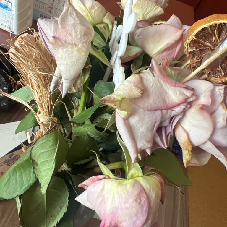 Teslim Edilen Çiçeklerin Solmuş Ve Ölü Olması Üzerine Şikayet