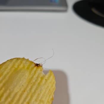 Ruffles Cipsinde Yabancı Madde Çıktı, Mide Bulantısı Yaşadım