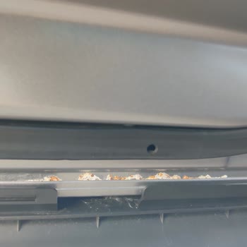 Garanti Kapsamında Citroen C4X Sol Arka Kapı Altında Boya Atması Ve Paslanma