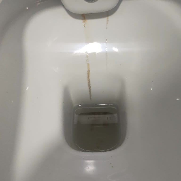 Turkuaz Hera Asma Klozeti Şikayeti