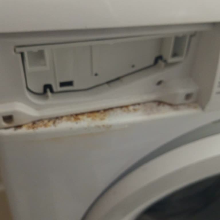 SEG Çamaşır Makinesi Deterjan Kabı Parçası İçin Ünye Ordu Şubesinden Cevap Gelmemesi