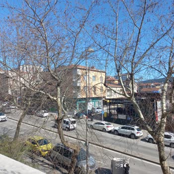 İçerenköy Mahallesindeki Uzun Ağaçlar İçin Acil Budama Ve Güvenlik Talebi