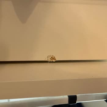 Kırık Parçalar Ve Işıklandırma Sorunları İçin 6 Aylık Cevapsızlık