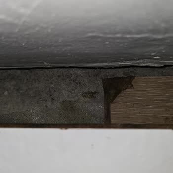 Allianz Sigorta'dan Su Hasarı İçin Yetersiz Ödeme