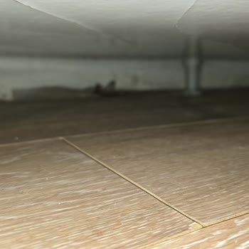 Allianz Sigorta'dan Su Hasarı İçin Yetersiz Ödeme