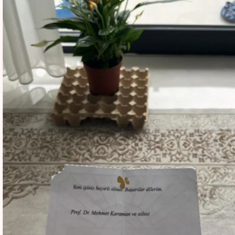 Solmuş Çiçek, Yanıltıcı Görseller Ve Kargo Teslimat Sorunu: Müşteri Hizmetleri Çözüm Sunmadı