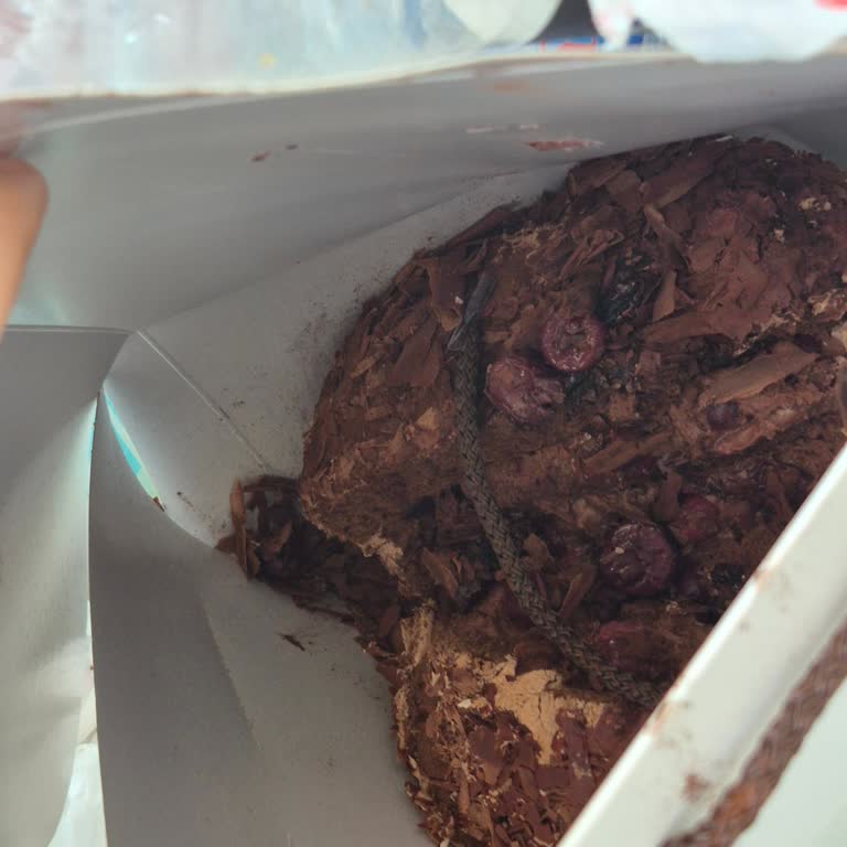 Vişneli Pastada Kurt Çıktı Ve Hijyen Sorunu