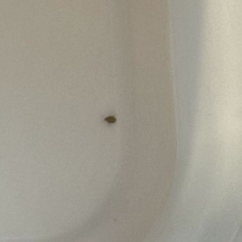 Hijyen, Paket Hataları Ve Kötü Müşteri Hizmetine Şikayet