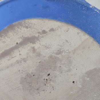 Ürün İçinde Canlı Böcekler Ve Yumurta Bulunması A101 Ve Nimet Markasına Hijyen Şikayeti