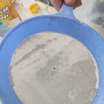 Ürün İçinde Canlı Böcekler Ve Yumurta Bulunması A101 Ve Nimet Markasına Hijyen Şikayeti