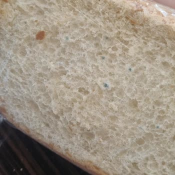 Testa Fırın Unlu Mamulleri Ekmekler Küflü Çıkıyor