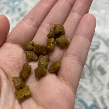 Kedimde İshal Ve Diş Etleri Kararmasına Neden Olan Bayat Royal Canin Mama İçin İade Reddi