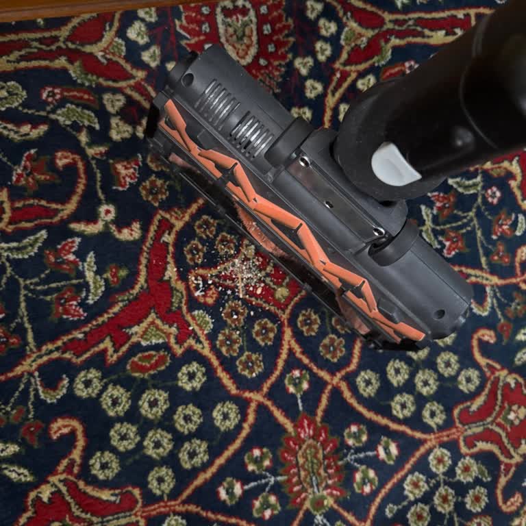 Halıya Temas Anında Toz Boşaltan Philips Süpürge Ve Kayıp Adaptör