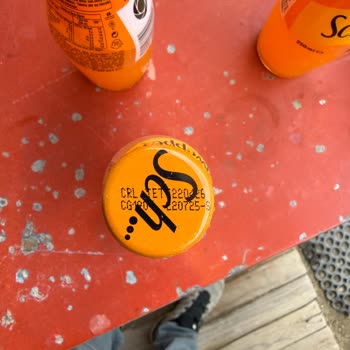 Bodrum Bayiinden Gelen Schweppes Mandalina Ürünlerinde Son Kullanma Tarihi Yakın