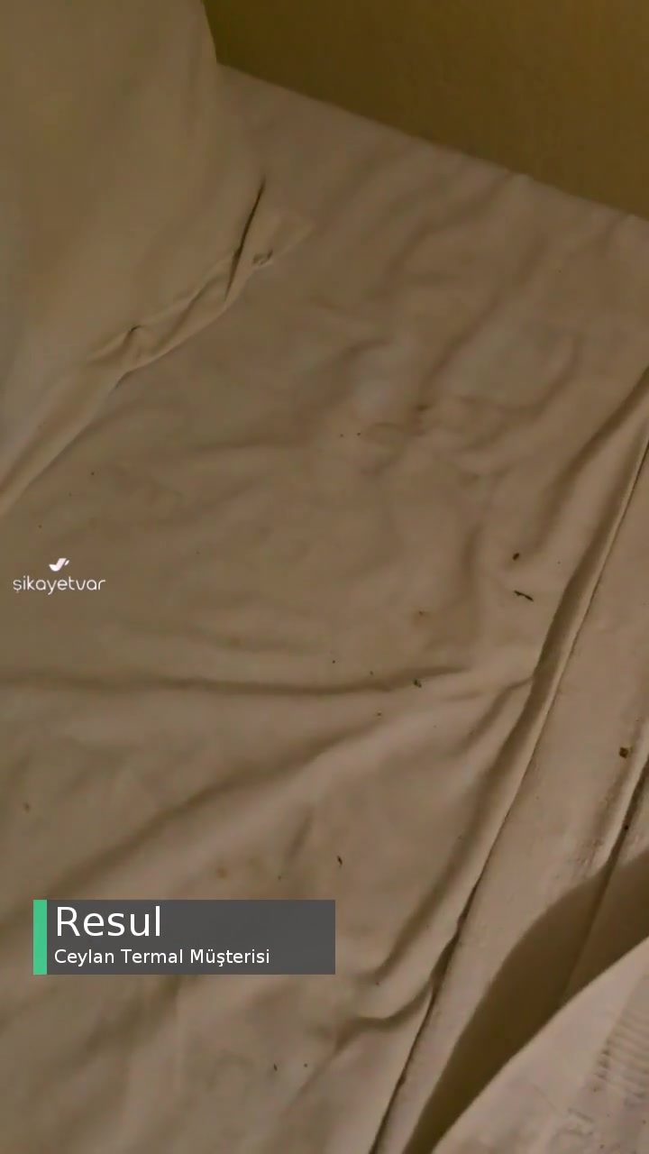 Ceylan Termal Her Yer Hayvan Kılı! videonun kapak resmi