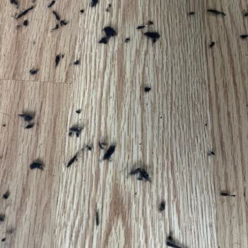 Eşofman Altı Kıyafetlerime Pamuk Bırakıyor