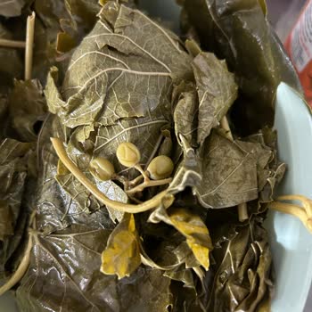 Yurtalan Yaprak Kalitesiz Kart Yaprak Ve Biçimsiz Baskı