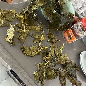 Yurtalan Yaprak Kalitesiz Kart Yaprak Ve Biçimsiz Baskı