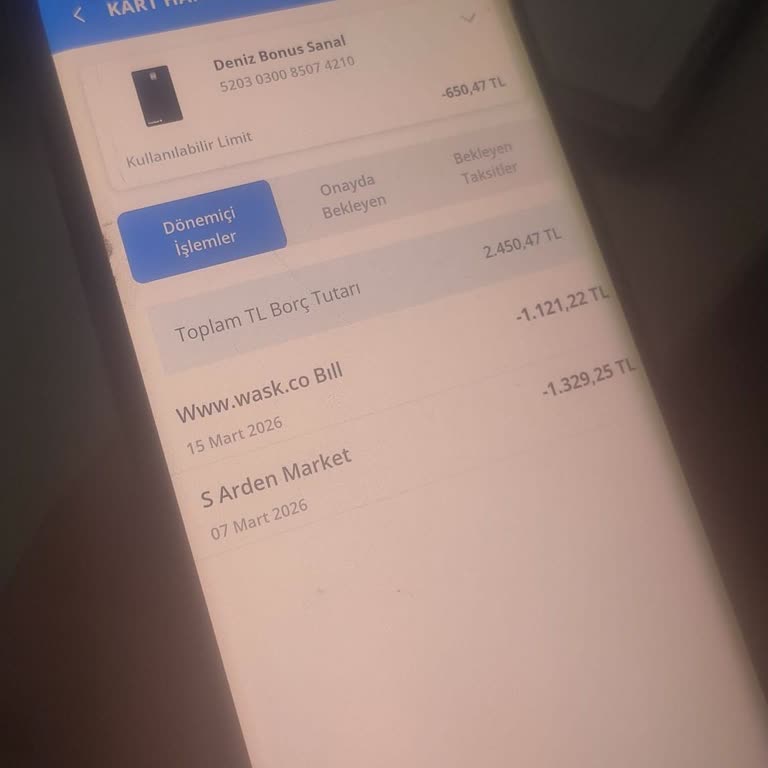 Wask.co’da Yetkisiz Kredi Kartı İşlemleri Ve İade Talebi