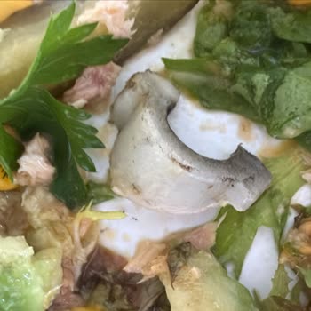 Plastik Boru Ve Eksik Paketler: Healthfit'te Sürekli Sorunlar Ve İade Mücadelesi