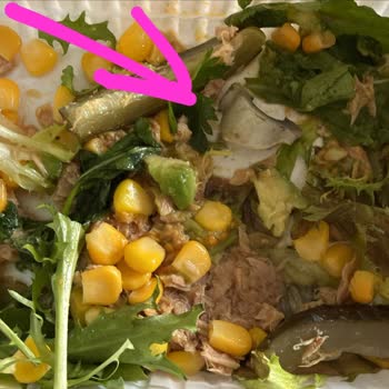 Plastik Boru Ve Eksik Paketler: Healthfit'te Sürekli Sorunlar Ve İade Mücadelesi