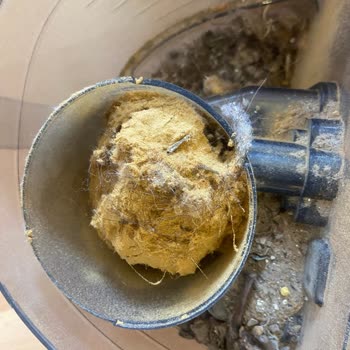 Kısa Sürede Bozulan Teddy Koltuk Takımı Ve Garanti Dışı Bayi Yaklaşımı