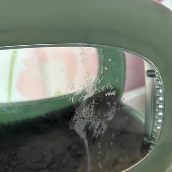 Kısa Sürede Şeffaf Kedi Taşıma Box’unda Lekeler Ve Deformasyon