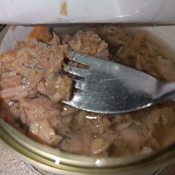 BİM Çubuk Şubesindeki Ton Balığı Sağlıksız Ve Geri Çekilmesi Gerekiyor