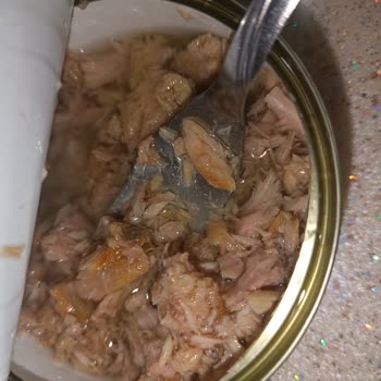 BİM Çubuk Şubesindeki Ton Balığı Sağlıksız Ve Geri Çekilmesi Gerekiyor