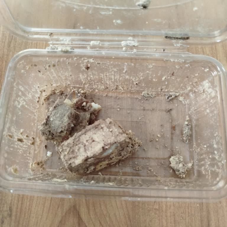 Serel Helvasının İçindeki Bilinmeyen Cisim Ve Sağlık Riski