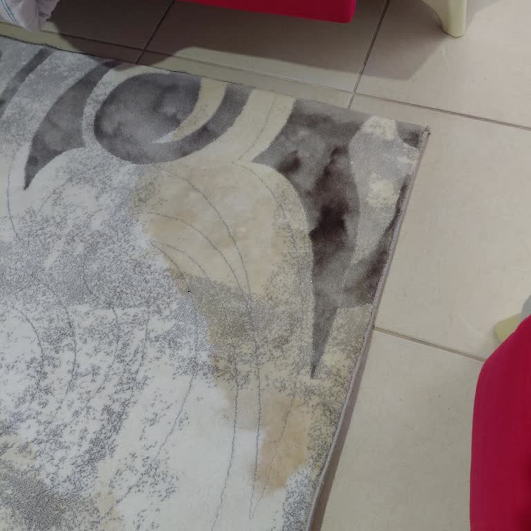 Evliyaoğulları Halı Yıkama Halıdan Sarı Sarı Su Kusmaya Başladığını Fark Ettim