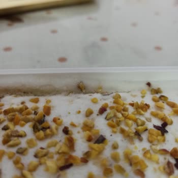 Üst Kısmı Pütürlü Ve Tatı Değişmiş Dondurma İçin Saklama Ve Nakliye Hatası İddiası