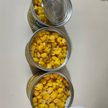 Tukaş Mısır Konservesinde Böcek Tespiti Ve Geri Çağrı Talebi