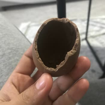 Topi Sürpriz Yumurtası Boş Çıktı