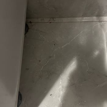 Eleman Yönlendir’de Geciken ve Yetersiz Temizlik Hizmeti Nedeniyle Ücret İadesi Talebi