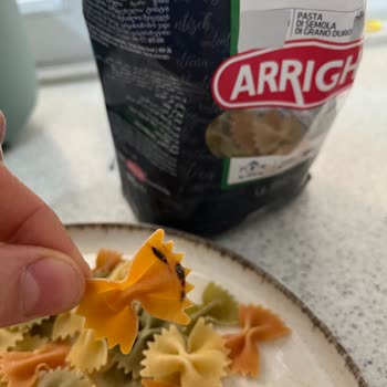 Carrefour SA Adamlar Larvalı Undan Makarna Üretmiş