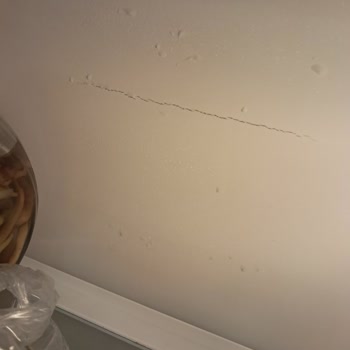 Franke Ankastre Fırının Hiç Çalışmaması Ve Buzdolabındaki Çatlak