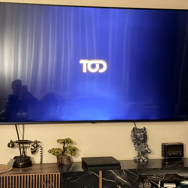 Tod Platformunda Bağlantı Sorunu Ve Fenerbahçe Maçını İzleyememe