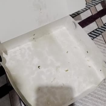 Karton Kutunun Kötü Kokusu Ve Hijyen Eksikliği