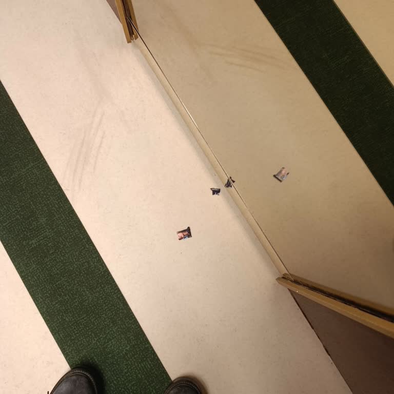 Kütüphane Görevlisinin Asılsız Öpüşme İddiası Ve Keyfi Uzaklaştırması