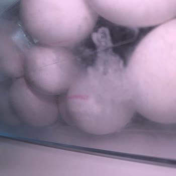 Bosch Ocak Izgarasındaki Çizilmeler Ve Buzdolabı Plastik Lekeleri İçin Ciddiyetsiz Servis Eleştirisi