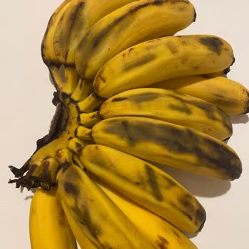 Hızla Çürüyen Bebek Muzunda Sağlık Riski