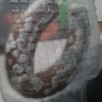 Küflenmiş Sucuk Ve A101’in İade Reddi